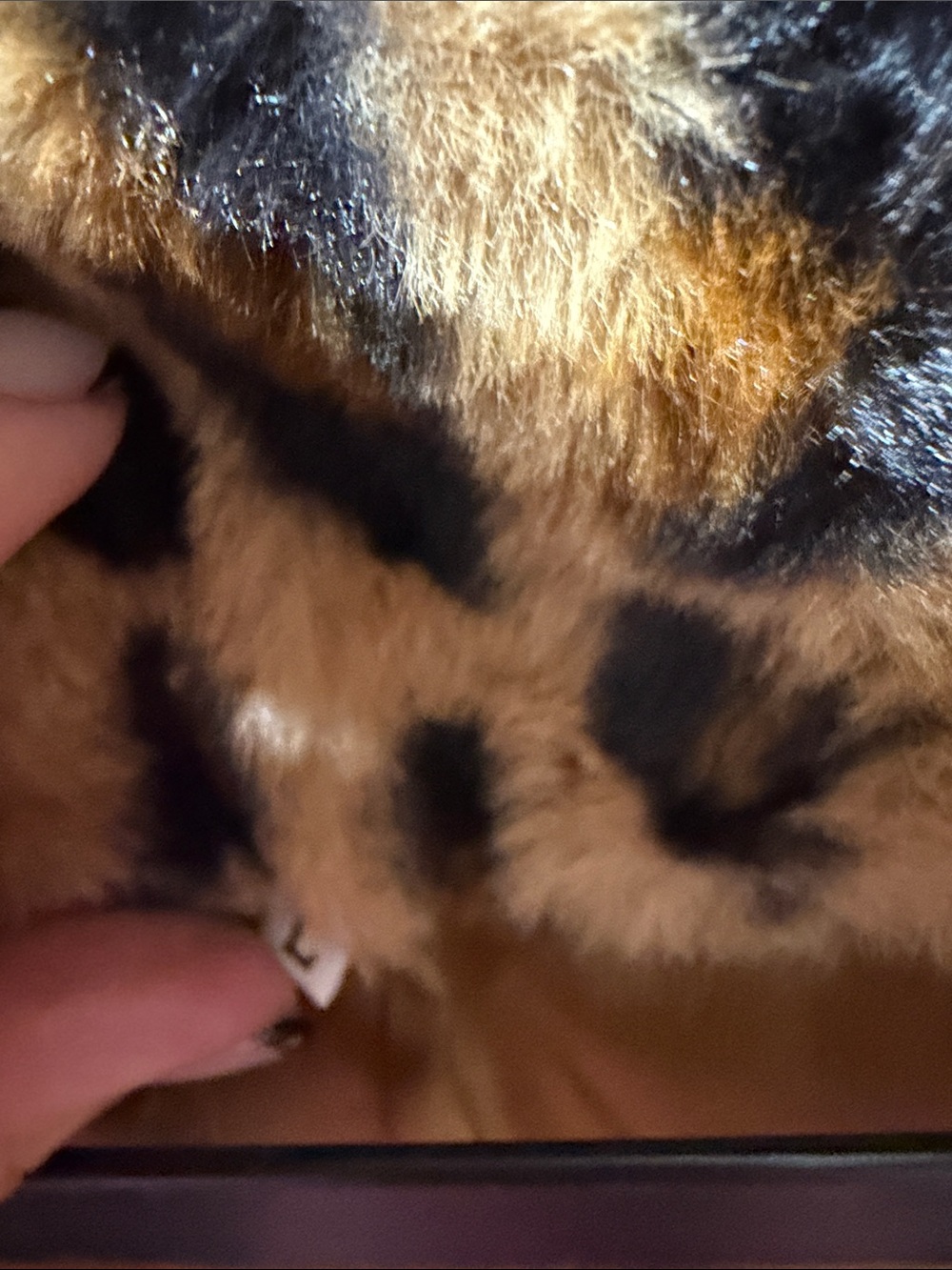Leopard Print Faux Fur Coat - Women's Tan/Black Jacket - Picture 2 of 5